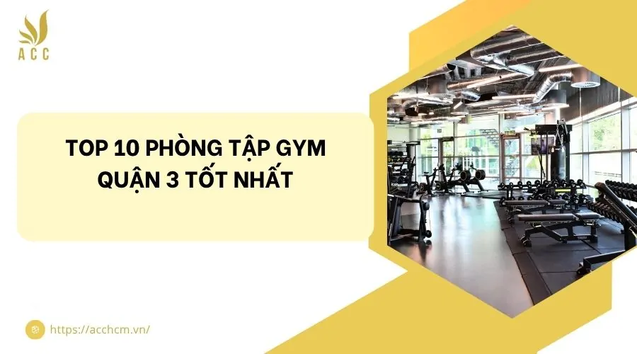 GYM ONE ĐẲNG CẤP QUỐC TẾ KHÔNG GIAN SANG TRỌNG DỊCH VỤ HOÀN HẢO CHO NGƯỜI TẬP