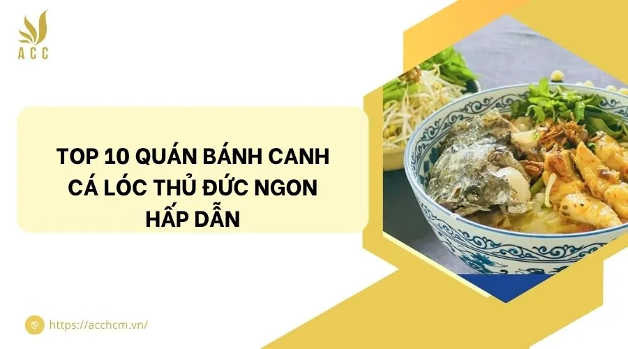 Top 10 quán bánh canh cá lóc Thủ Đức ngon hấp dẫn
