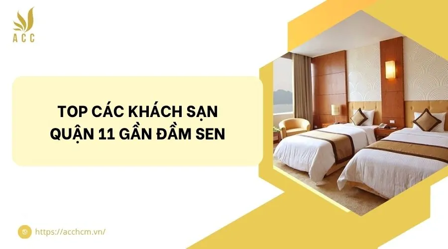 Top các khách sạn quận 11 gần Đầm Sen