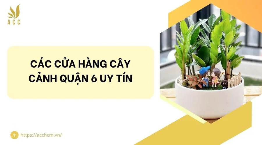 Các cửa hàng cây cảnh quận 6 uy tín