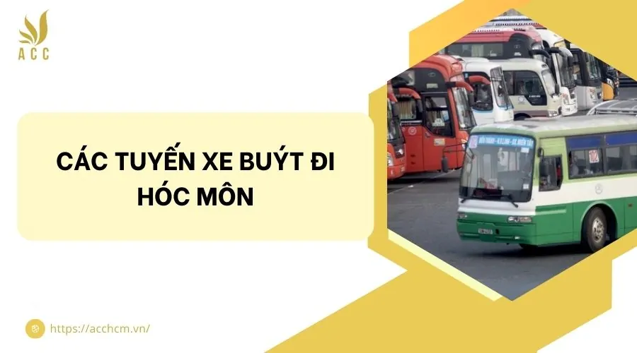 Các tuyến xe buýt đi Hóc Môn