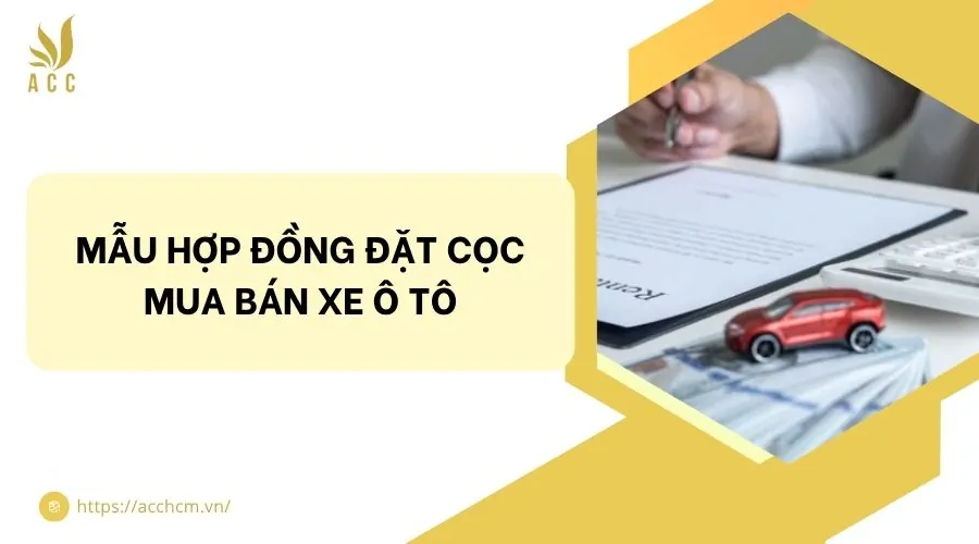 Mẫu hợp đồng mua bán xe ô tô