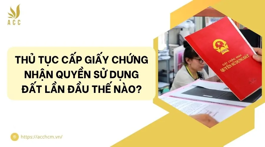 Thủ tục cấp giấy chứng nhận quyền sử dụng đất lần đầu thế nào?