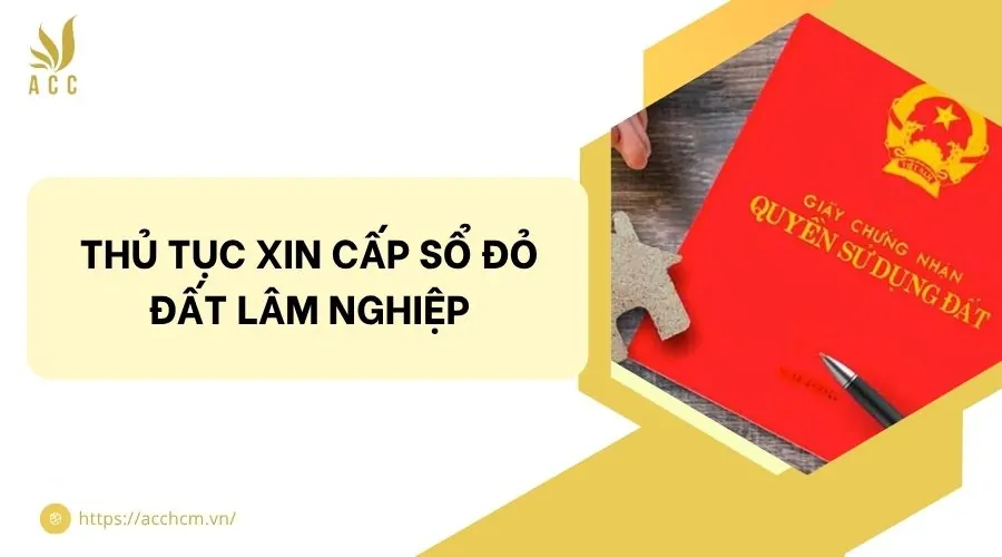 Thủ tục xin cấp sổ đỏ đất lâm nghiệp