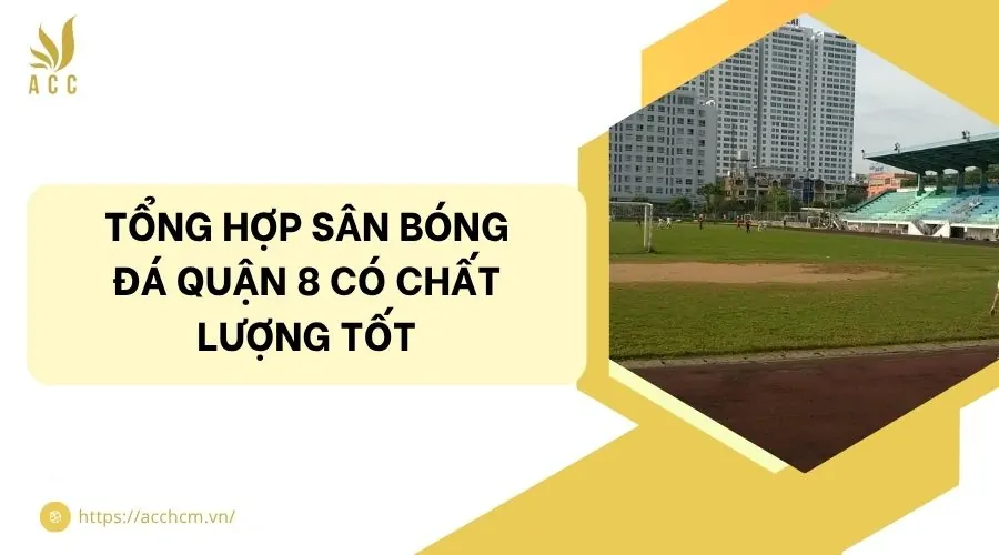 Tổng hợp sân bóng đá quận 8 có chất lượng tốt