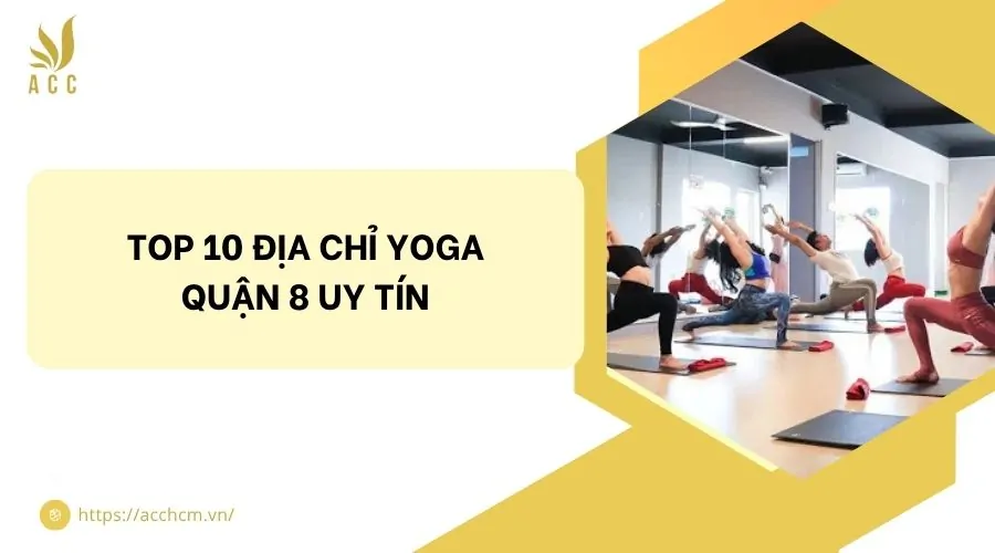 Top 10 địa chỉ yoga quận 8 uy tín