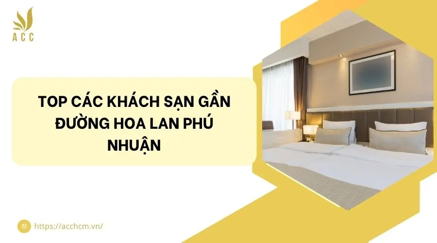 Top các khách sạn gần đường Hoa Lan Phú Nhuận