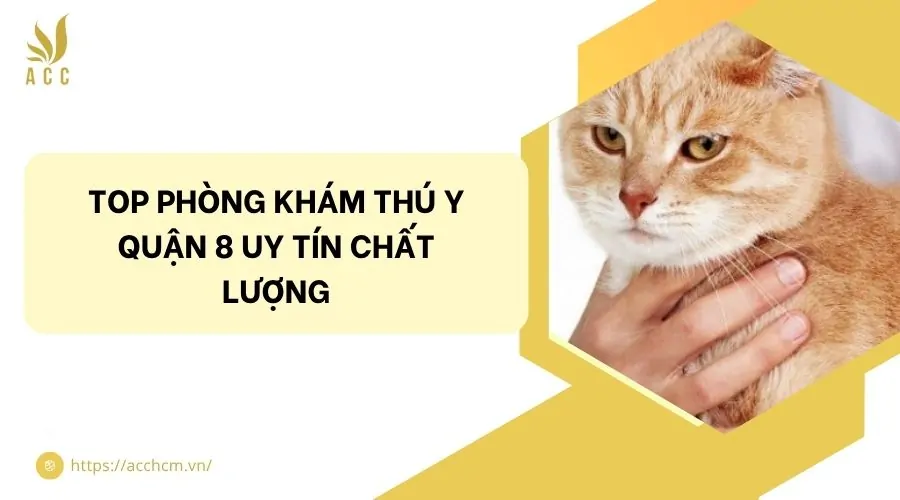 Top phòng khám thú y quận 8 uy tín chất lượng