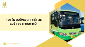 Tuyến đường chi tiết xe buýt 59 TPHCM mới 