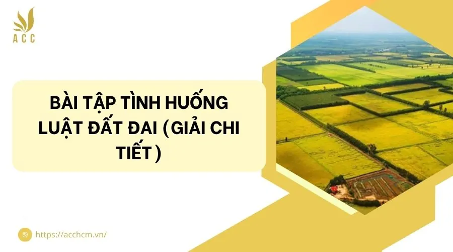 Bài tập tình huống luật đất đai (Giải chi tiết)