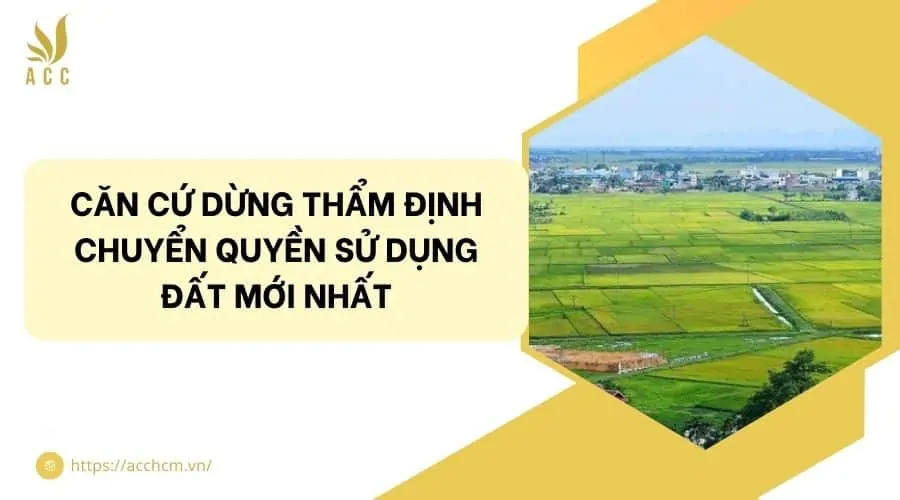 Căn cứ dừng thẩm định chuyển quyền sử dụng đất mới nhất