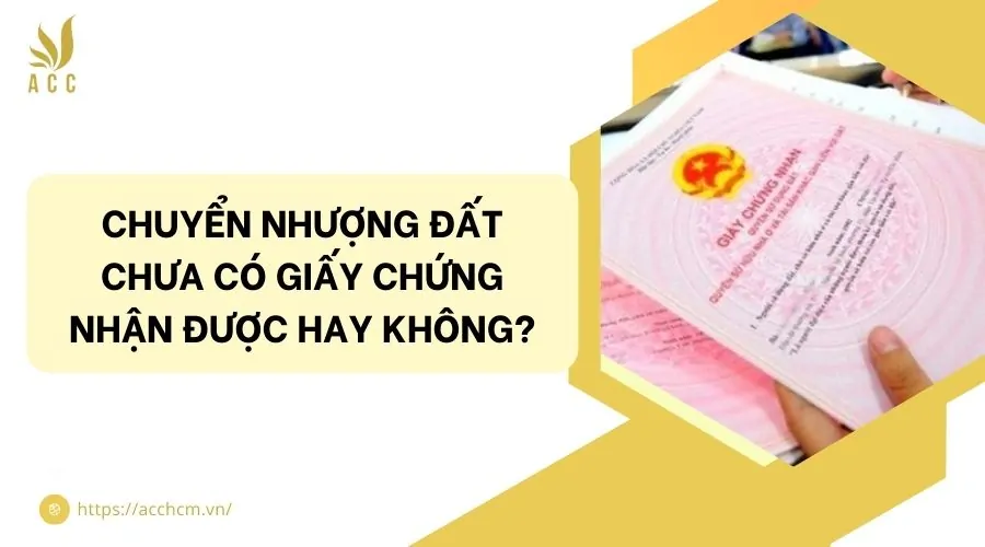 Chuyển nhượng đất chưa có giấy chứng nhận được hay không?