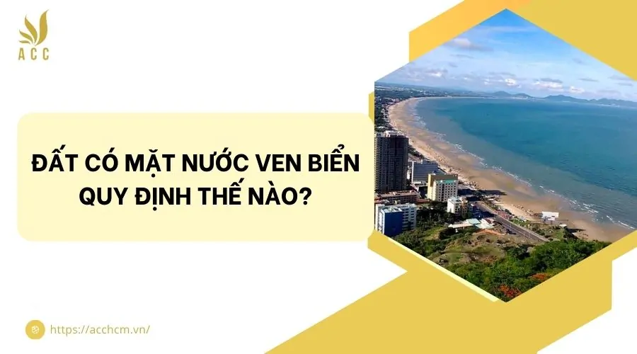 Đất có mặt nước ven biển quy định thế nào?