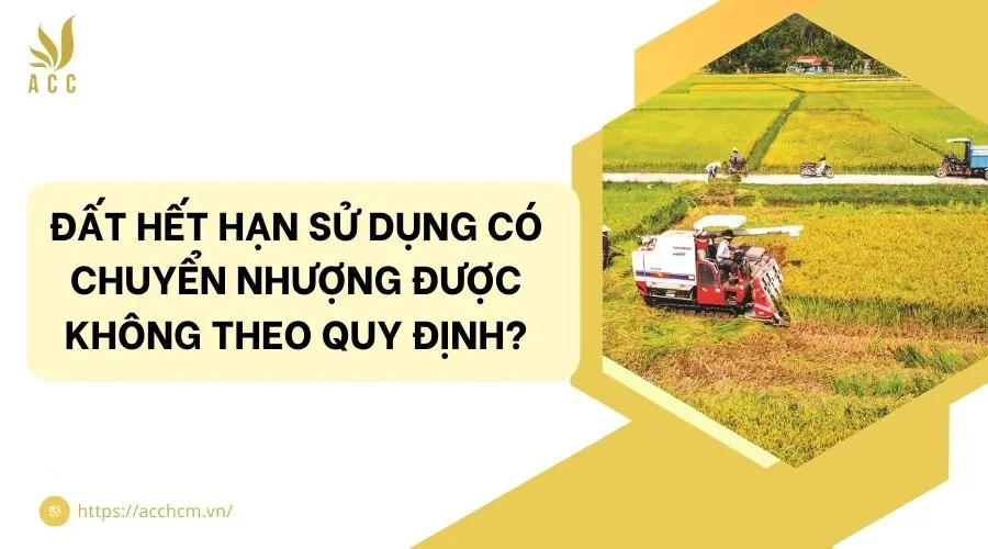 Đất hết hạn sử dụng có chuyển nhượng được không theo quy định?