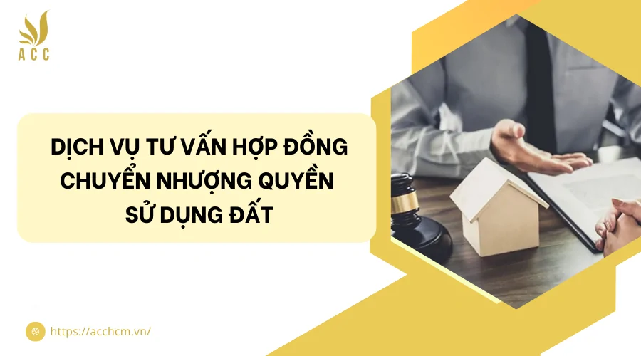 Dịch vụ tư vấn hợp đồng chuyển nhượng quyền sử dụng đất