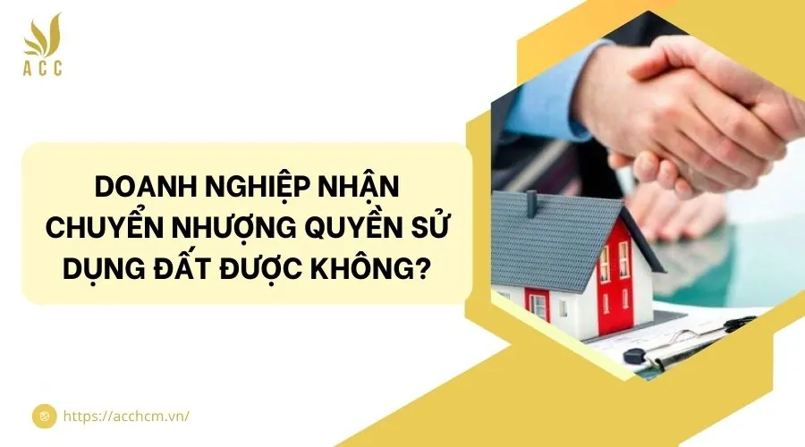 Doanh nghiệp nhận chuyển nhượng quyền sử dụng đất được không?
