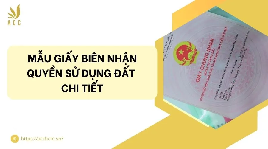 Mẫu giấy biên nhận quyền sử dụng đất chi tiết