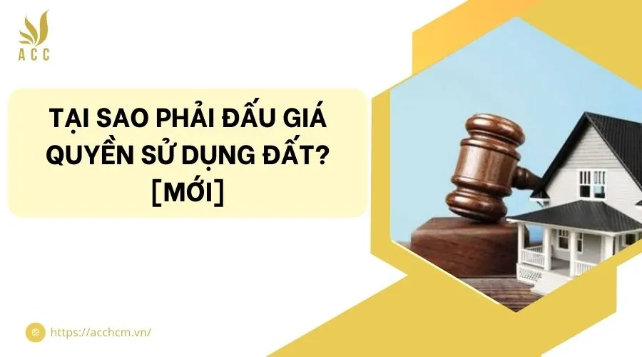 Tại sao phải đấu giá quyền sử dụng đất? [Mới]