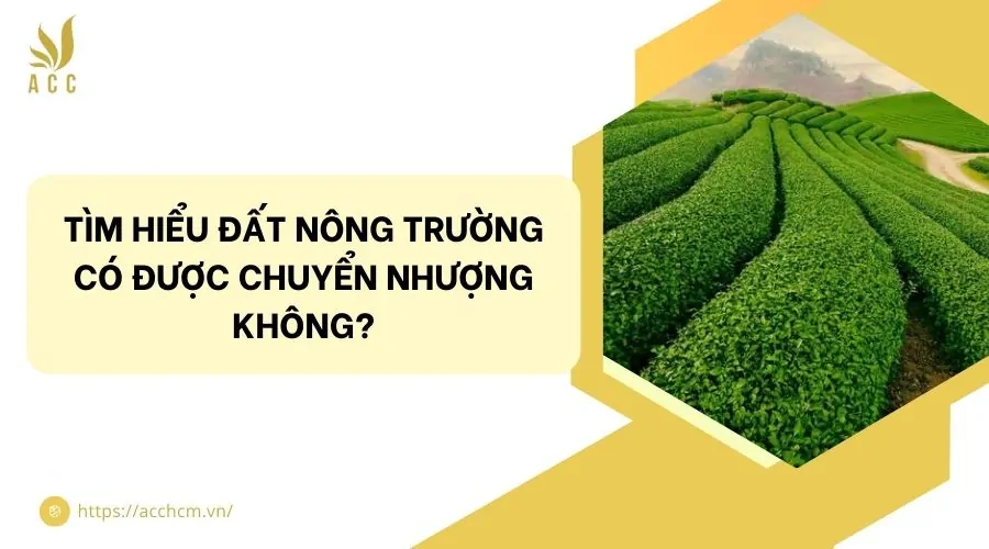 Tìm hiểu đất nông trường có được chuyển nhượng không?