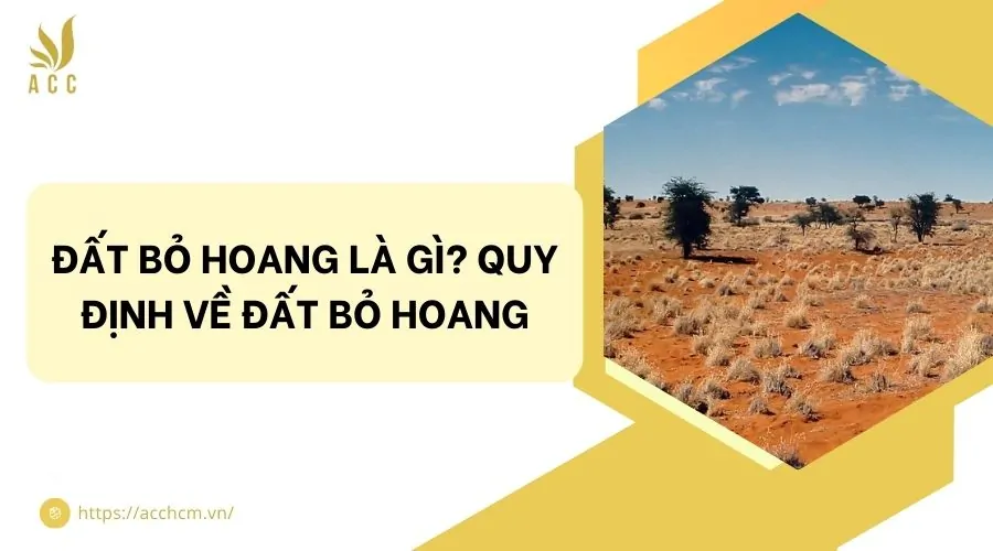 Đất bỏ hoang là gì? Quy định về đất bỏ hoang