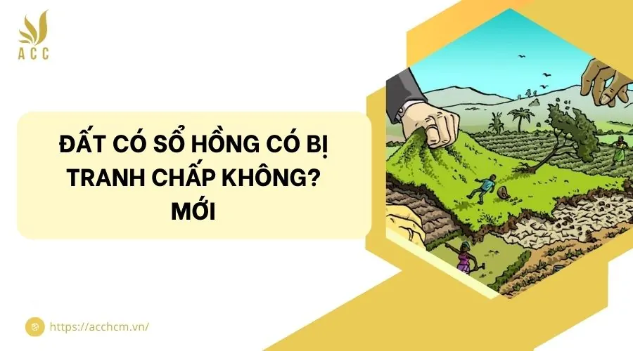 Đất có sổ hồng có bị tranh chấp không? Mới