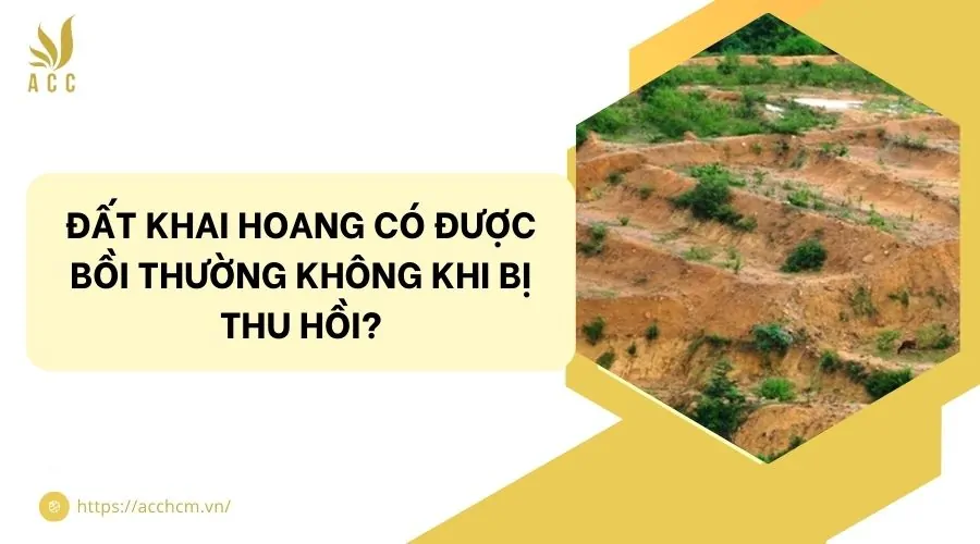 Đất khai hoang có được bồi thường không khi bị thu hồi?