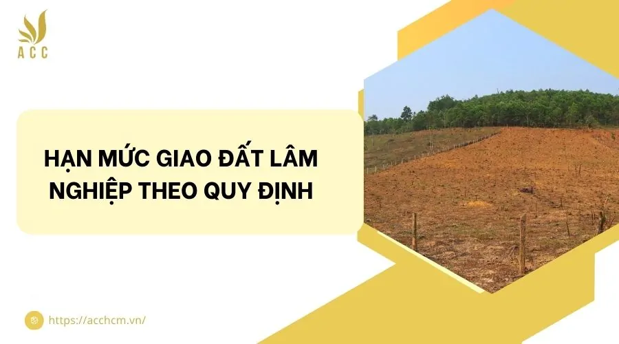 Hạn mức giao đất lâm nghiệp theo quy định