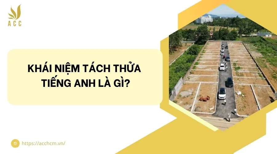 Khái niệm tách thửa tiếng Anh là gì?