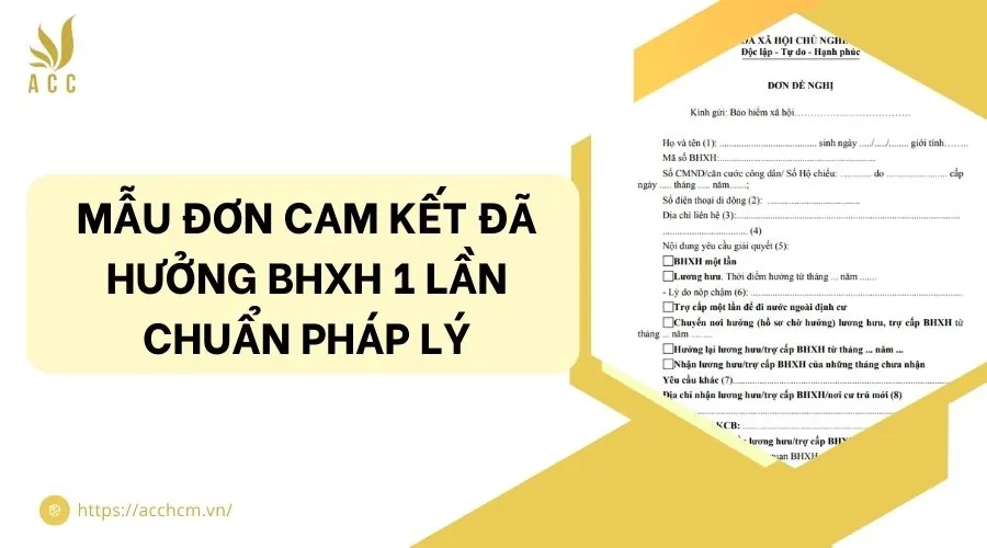 Mẫu đơn cam kết đã hưởng BHXH 1 lần chuẩn pháp lý