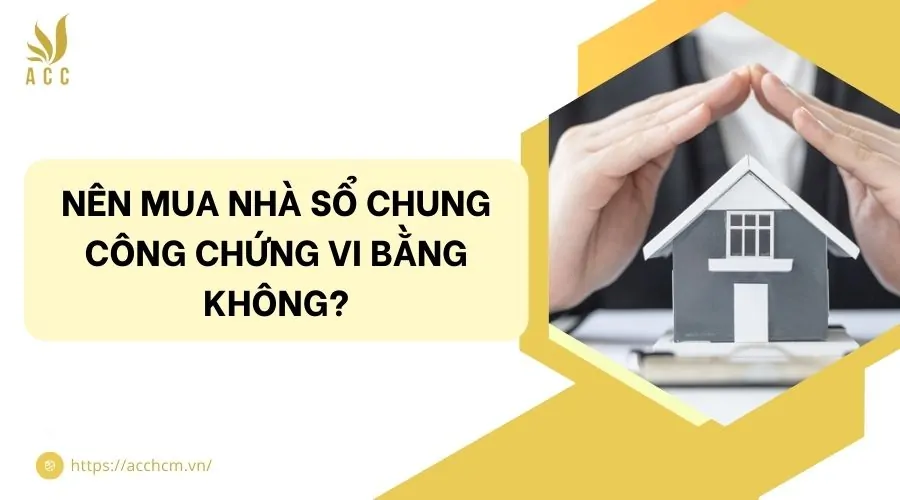 Nên mua nhà sổ chung công chứng vi bằng không?