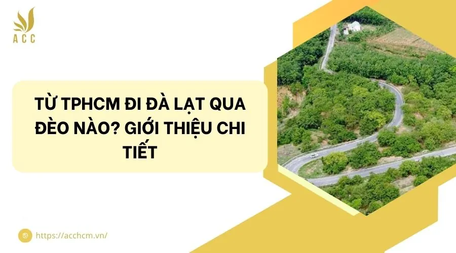Từ TPHCM đi Đà Lạt qua đèo nào? Giới thiệu chi tiết