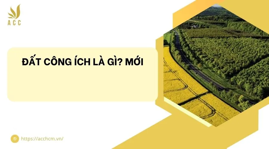 Đất c&ocirc;ng &iacute;ch l&agrave; g&igrave;? Mới