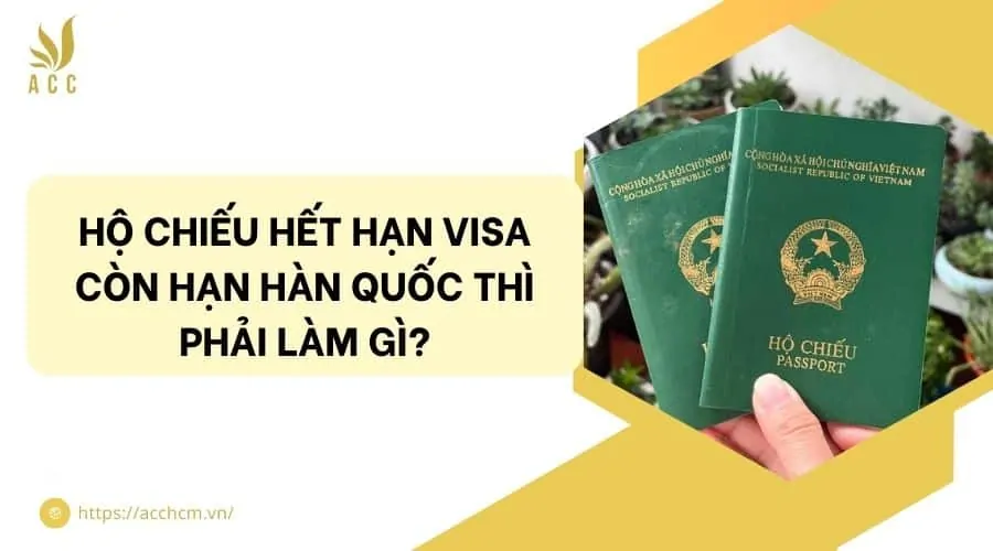 Hộ chiếu hết hạn visa còn hạn Hàn Quốc thì phải làm gì?