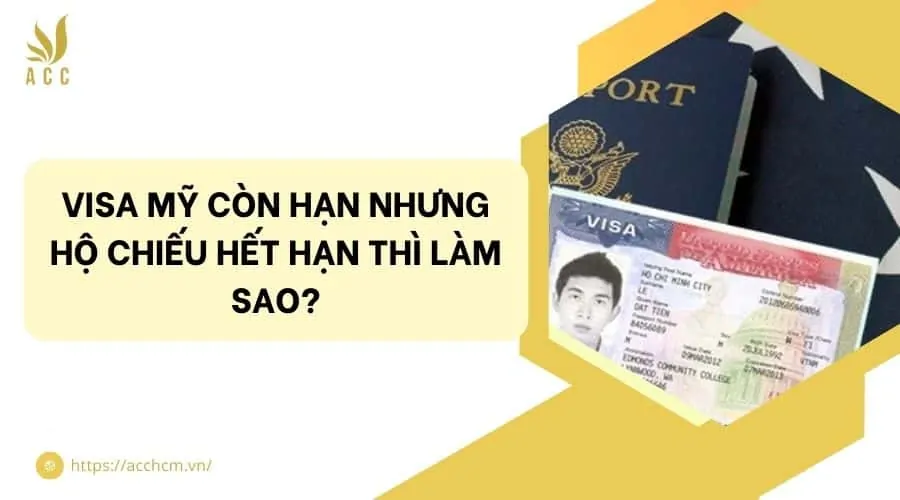 Visa Mỹ còn hạn nhưng hộ chiếu hết hạn thì làm sao?