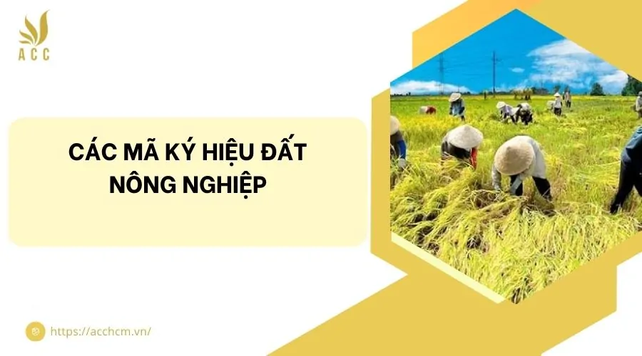 C&aacute;c m&atilde; k&yacute; hiệu đất n&ocirc;ng nghiệp