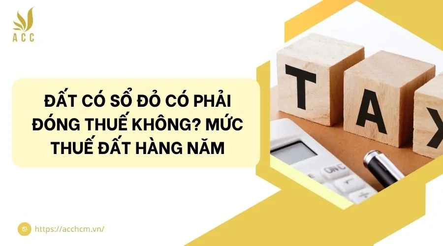 Đất có sổ đỏ có phải đóng thuế không? Mức thuế đất hàng năm