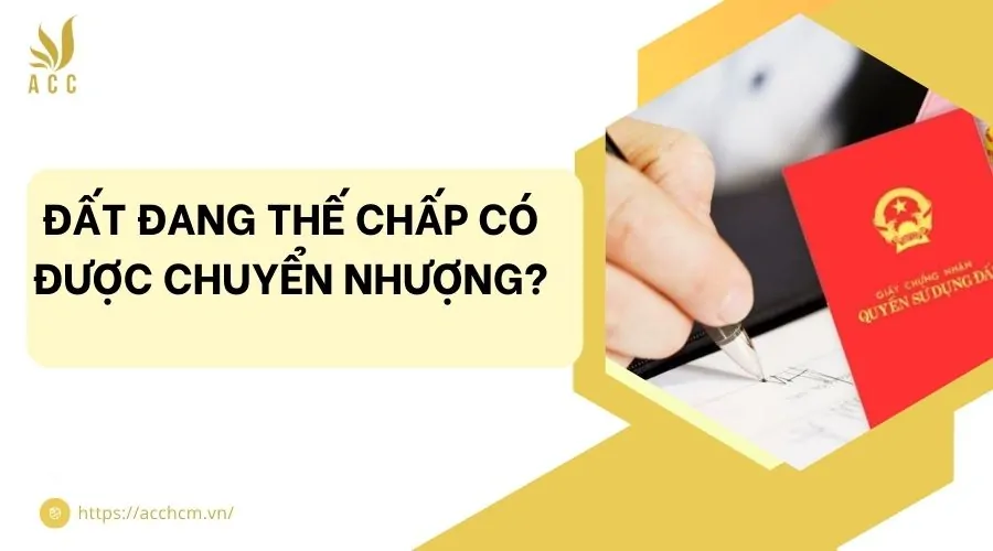 Đất đang thế chấp có được chuyển nhượng?