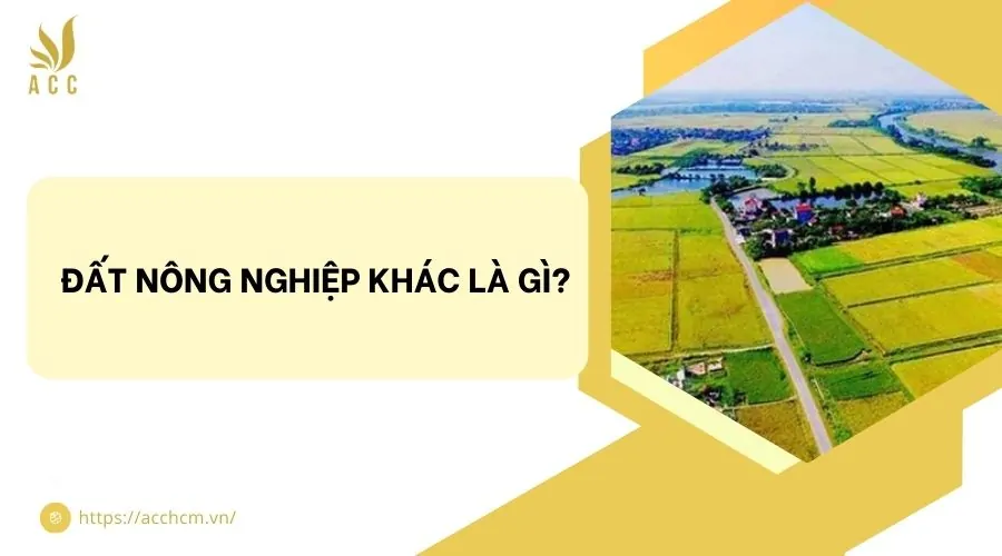 Đất nông nghiệp khác là gì?