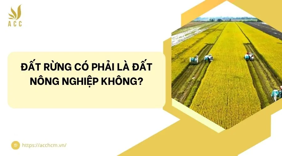 Đất rừng có phải là đất nông nghiệp không?