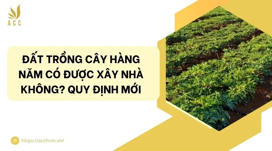 Đất trồng cây hàng năm có được xây nhà không? Quy định mới