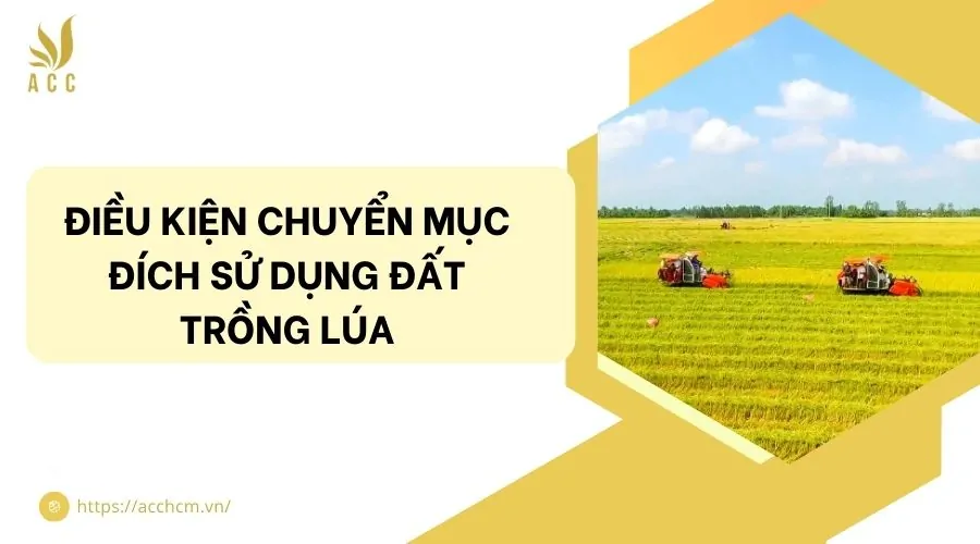 Điều kiện chuyển mục đích sử dụng đất trồng lúa