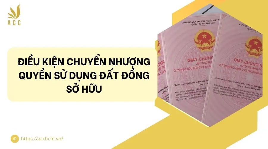 Điều kiện chuyển nhượng quyền sử dụng đất đồng sở hữu