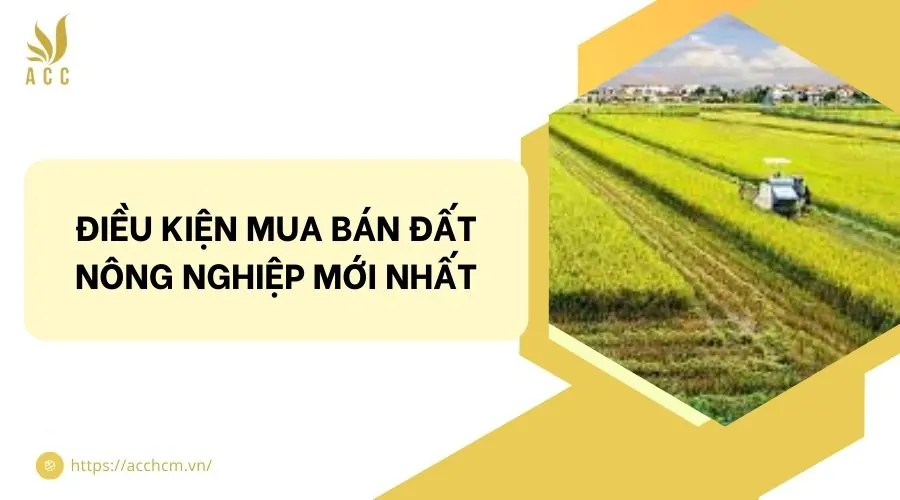 Điều kiện mua bán đất nông nghiệp mới nhất