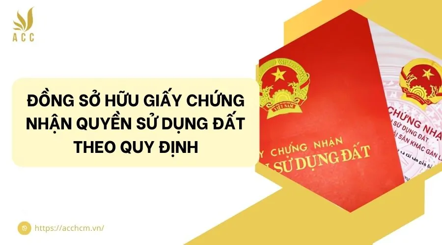 Đồng sở hữu giấy chứng nhận quyền sử dụng đất theo quy định