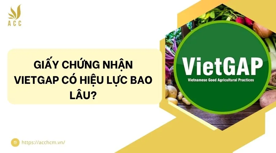 Giấy chứng nhận VietGap có hiệu lực bao lâu?