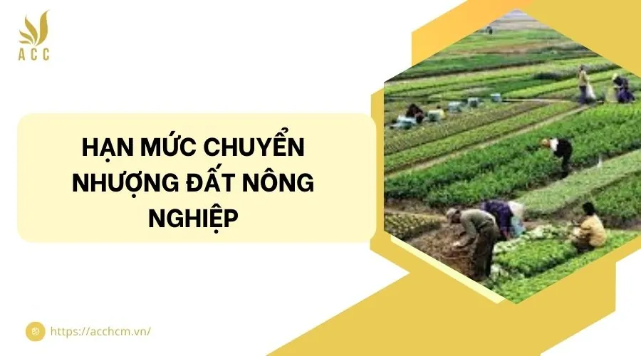 Hạn mức chuyển nhượng đất nông nghiệp