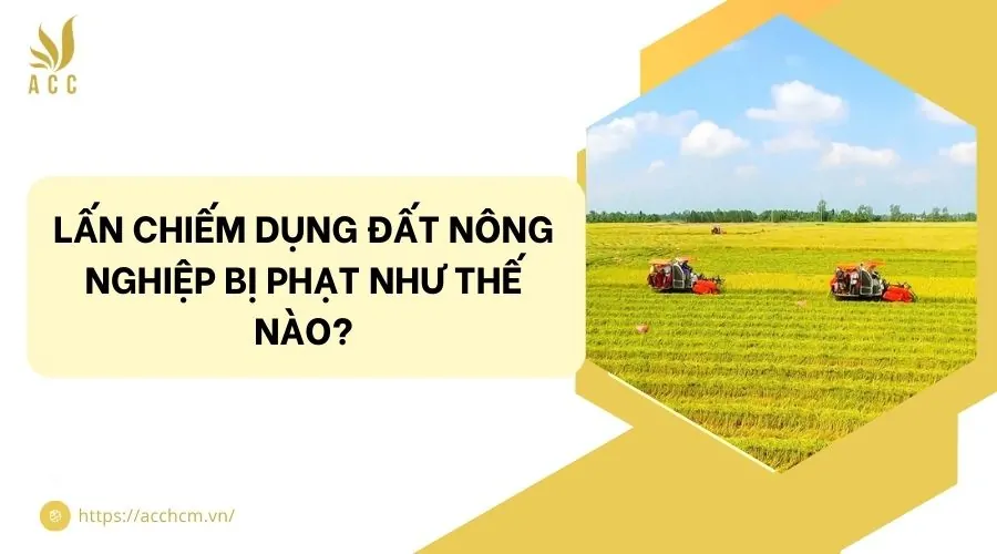 Lấn chiếm dụng đất nông nghiệp bị phạt như thế nào?