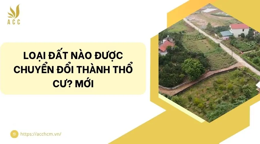 Loại đất nào được chuyển đổi thành thổ cư? Mới