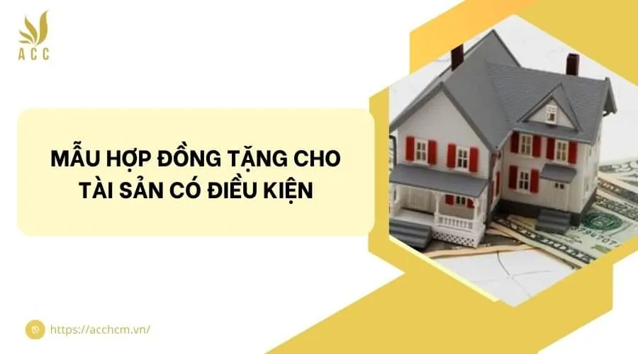 Mẫu hợp đồng tặng cho tài sản có điều kiện