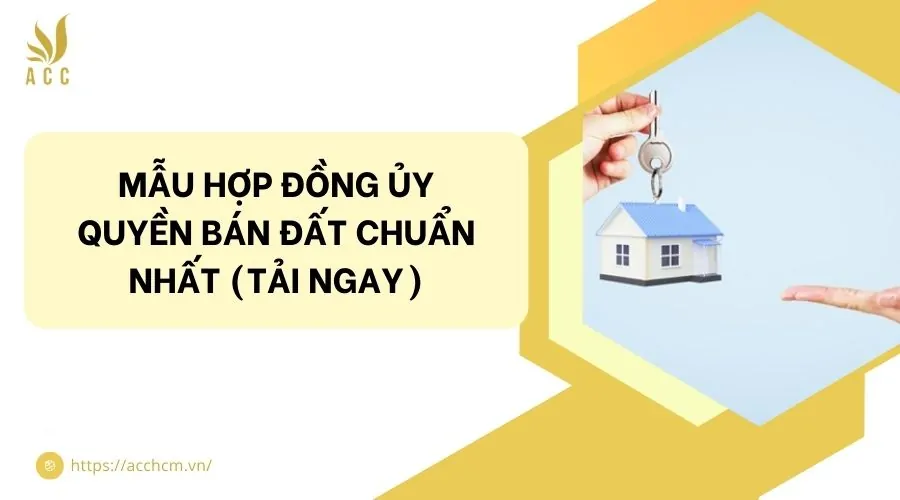 Mẫu hợp đồng ủy quyền bán đất chuẩn nhất (Tải ngay)